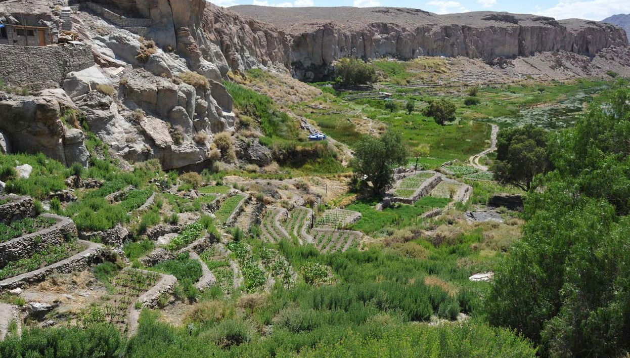 Cultivo em terraços de Ayquina