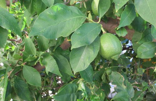 Apartment Sea&Sun - Photo 18