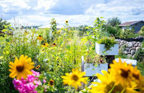 Magia Krutyni - Foto 71