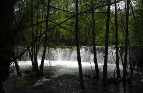 Casa restaurante O Pitès - Foto 27