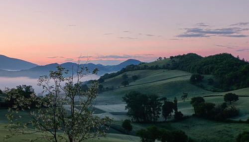 A casa di Matisse - appartamento vacanze - Foto 2