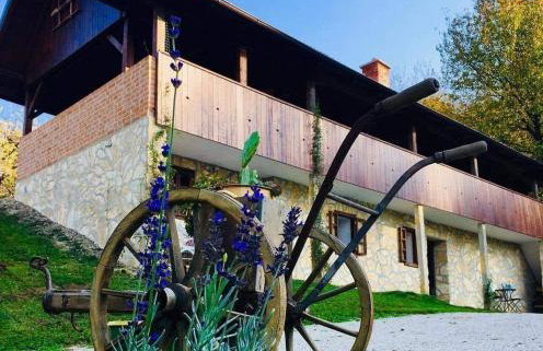 Vila Countryhouse Pijevci - Foto 77