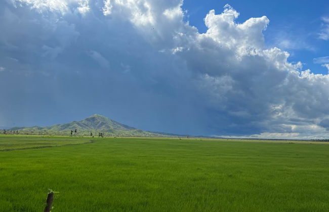 Saona VIP y Tropical Quad - Tour de 2 días - Foto 2