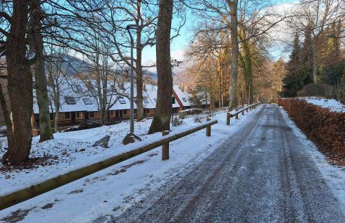 Le Nid des Frênes - Studio au Cœur de la Nature - Foto 2