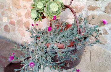 Terrazza sul Chianti - Photo 19