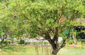 Agroturystyka Szafarnia 19 - Foto 15