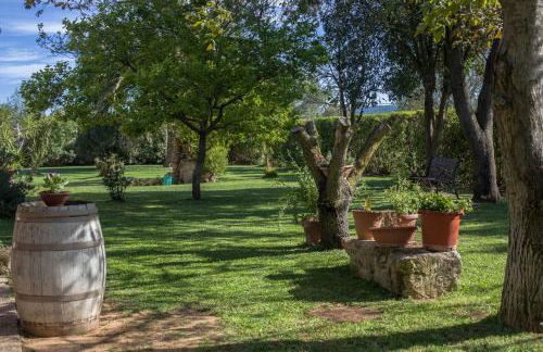 Agriturismo Podere Pizzicagallo - Foto 34