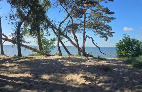 Heimeliges Ferienhaus Rügen - Foto 17