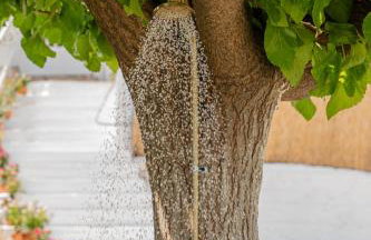 Jacob's Place Kalamos - Foto 10