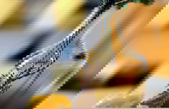 Ferienwohnungen Wolf - Foto 26