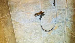 BFC Ferienwohnung in Freudenstadt-Grüntal - Foto 3, Shower