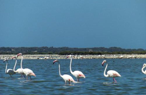 Gold Beach - Foto 47