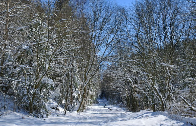 Holiday Home in Vielsalm With Lake View - Foto 24