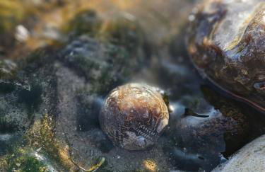 Ferienwohnung Lisa - Foto 24