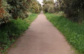 Casa Montegama - Foto 41