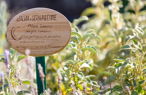 Agriturismo Il Sapore Della Luna - Foto 47