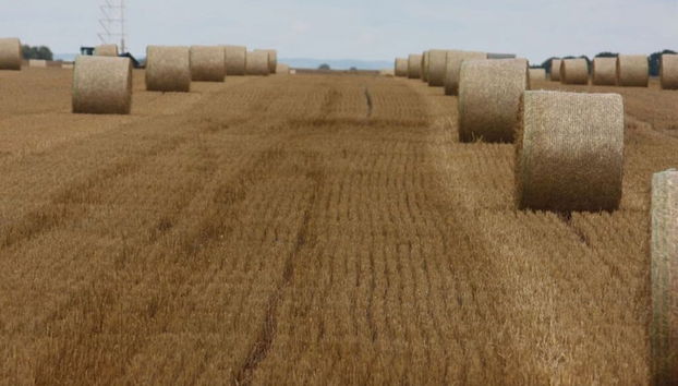 Poggenhof/ West Requits - Foto 4, Habitación