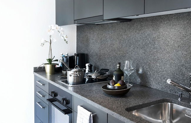 Cosmopolitan Apartments Zürich Seefeld - Foto 34