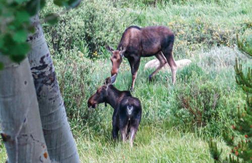 Watch Hill 216 - Foto 8