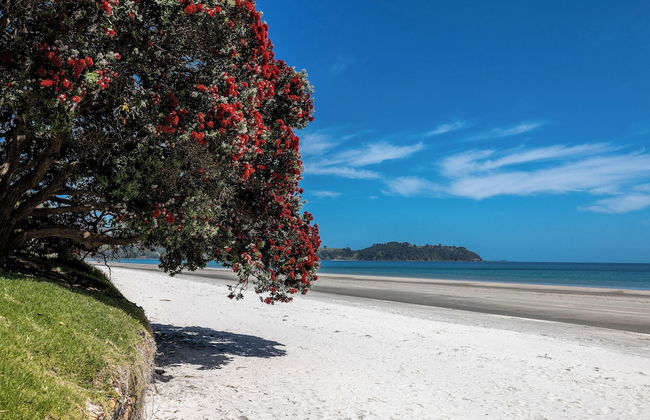 Apartment On The Beach - Photo 24