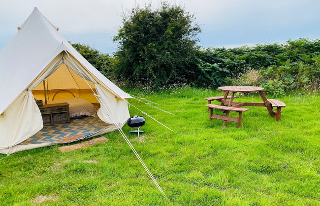 Bell Tent , Carreglwyd Estate, Anglesey - Photo 39