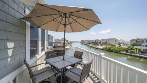 Octopus's Garden - Foto 4