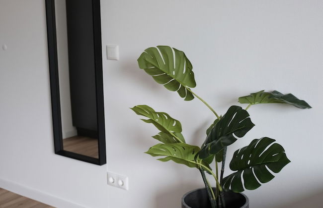 aparthotel glück auf Düppelstrasse - Foto 37