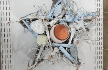 VENTO IN POPPA - Foto 21