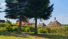 Apartament w Sercu Gór z ogrodem - Foto 2