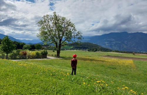 Krebslechnerhof - Foto 69