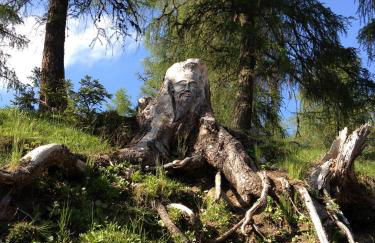 Appartamenti Regina - Foto 59