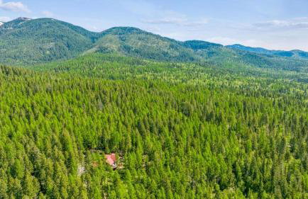 Northwoods Escapes - Foto 41