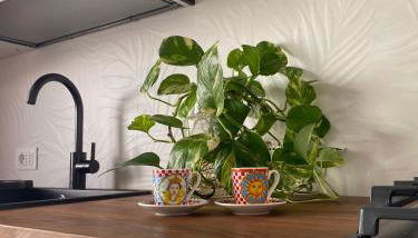 Appartamento La Brogna - Mazara del Vallo Centro - Foto 5