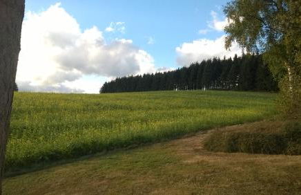 Blick in die Südeifel - Foto 16