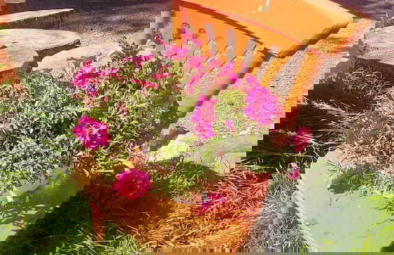 Tumba Sisli Vadi - Foto 70