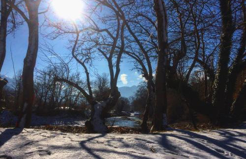 Agroktima Armonia - Foto 13