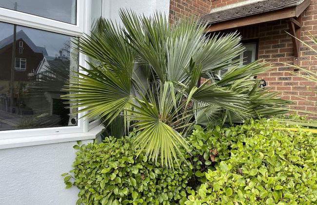 Large Family Getaways Metres From the Beach - Foto 48