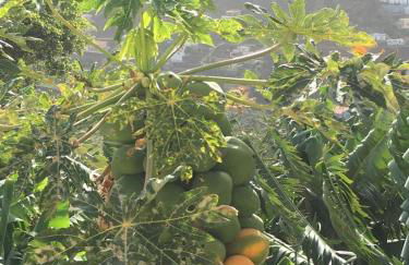 Los Corralitos - Foto 47