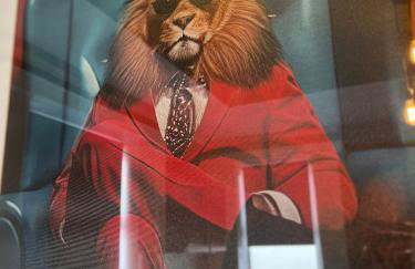 Hayy Studio Quiet Comfy Connected - Foto 26