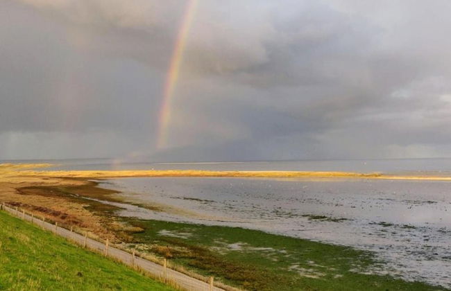 Traditional Villa With two Bathrooms on Texel Near the Sea - Foto 43