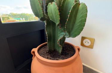 La Grange de Molière - Foto 9