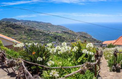 Casas Tipicas Candelaria Tabua - Photo 30