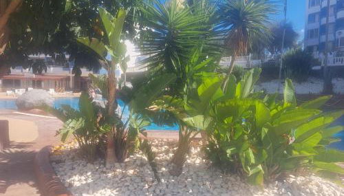 A&V Studio in Green Park - Foto 3