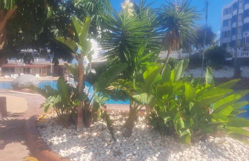 A&V Studio in Green Park - Foto 3