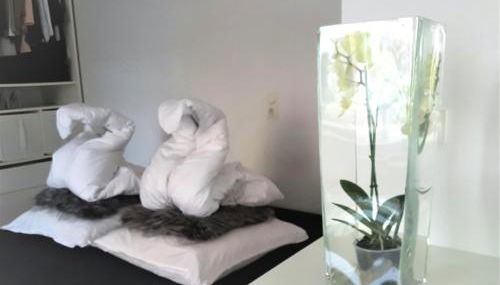 Get-your-flat - Tiny Flat in Gründerzeithaus, super sweet, Kreuzviertel - 50 m2 EG Haustier auf Anfrage - Foto 2