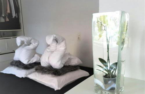 Get-your-flat - Tiny Flat in Gründerzeithaus, super sweet, Kreuzviertel - 50 m2 EG Haustier auf Anfrage - Foto 2