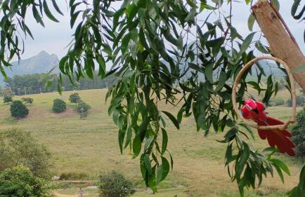 Chácara Sol de Primavera em Guarapari - Próxima à Praia de Setiba - Foto 27