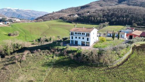Azienda Agricola Sebastiani - Foto 4
