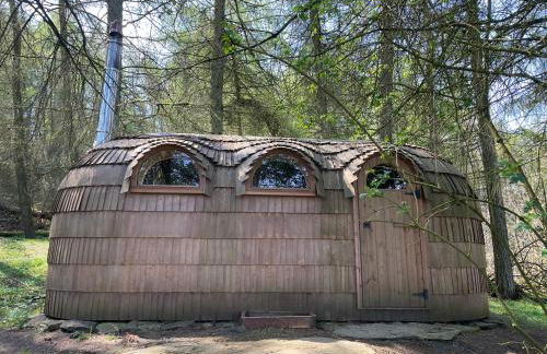 Yellison at Broughton Sanctuary - Photo 48