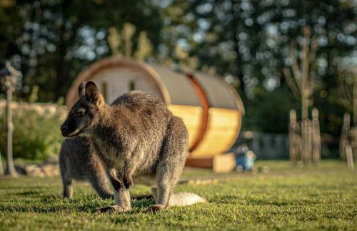 Glamping im beheizten Campingfass auf Leo's Farm - Foto 2